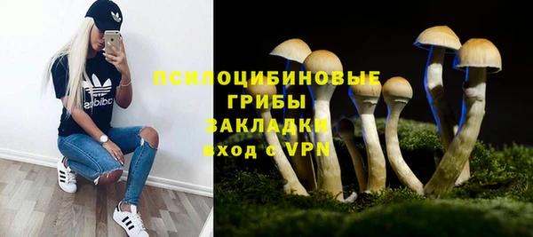 мяу мяу мука Новозыбков