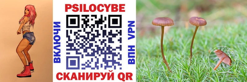 Галлюциногенные грибы Psilocybe  ссылка на мегу сайт  Аргун  даркнет сайт 