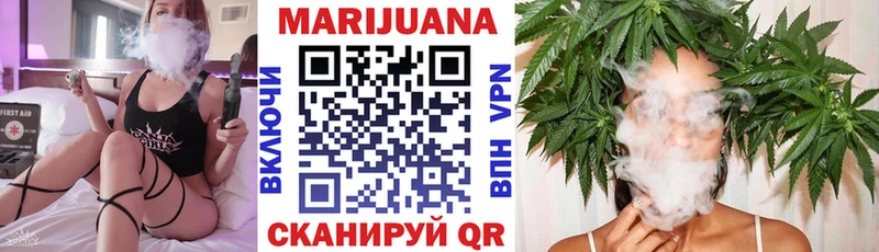 KRAKEN tor  Аргун  Бошки Шишки сатива 